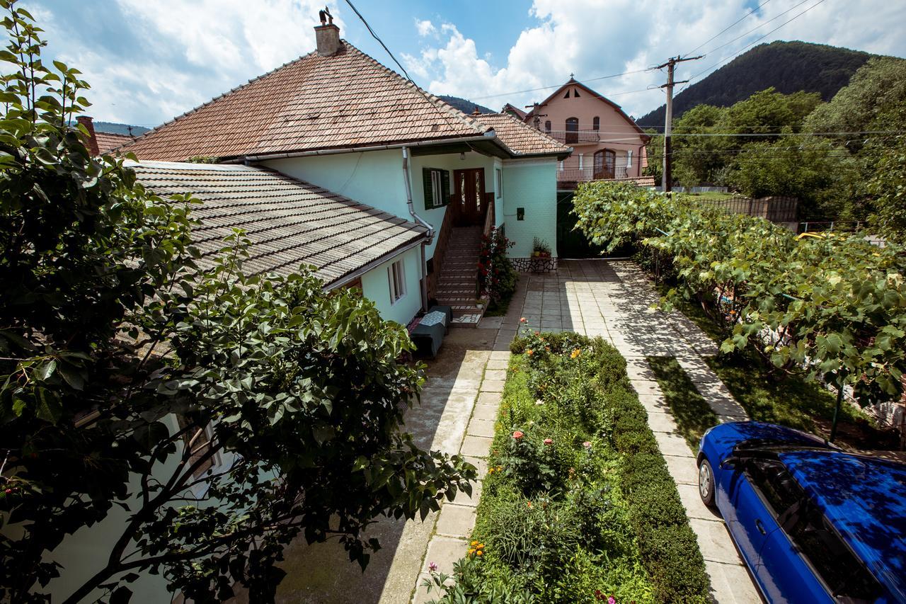 Picturesque Village In Transylvania Răşinari Esterno foto